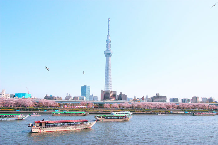 墨田区隅田川イメージ